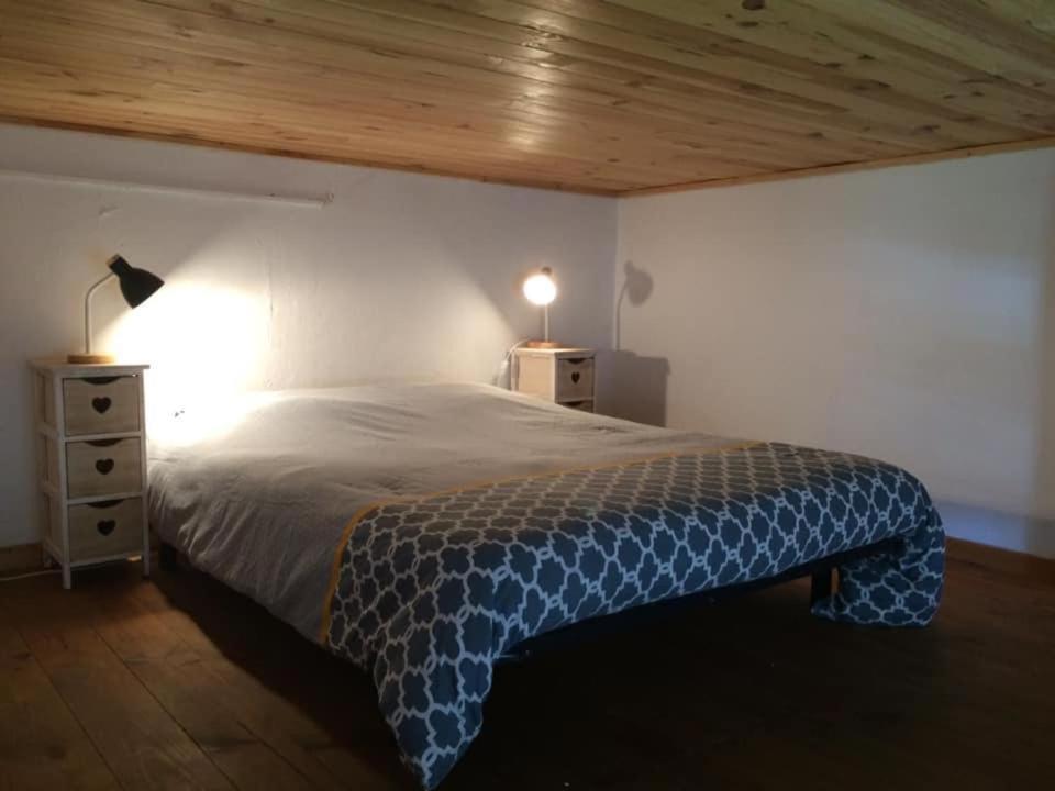 Appartement Cosy Place Paoli Corte  Dış mekan fotoğraf